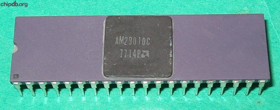 AMD AM2901DC purple black top