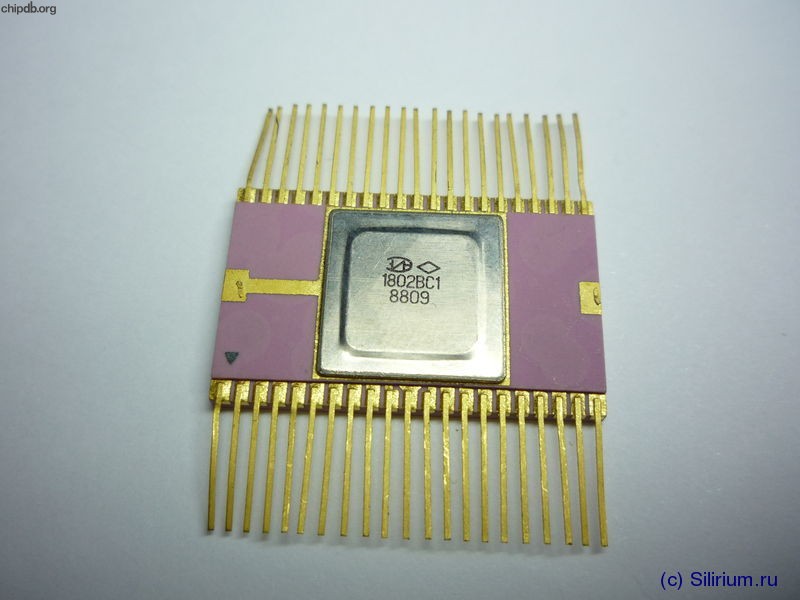 1802VS1 (1802ВС1) 8-bit BSP