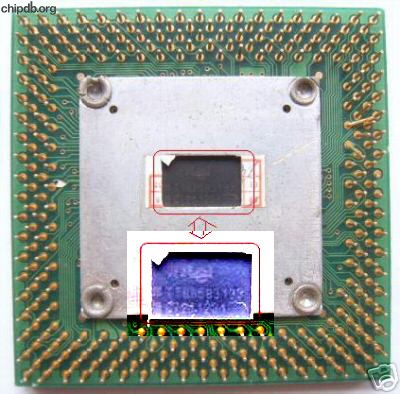 Intel Pentium BP80503200 SL23V FAKE back