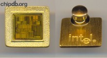 Intel pin with chip