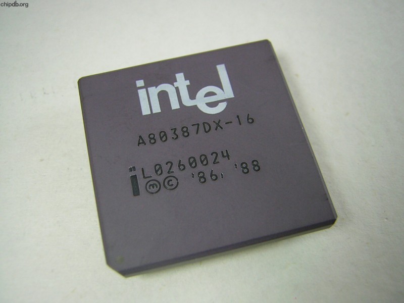 Intel A80387DX-16