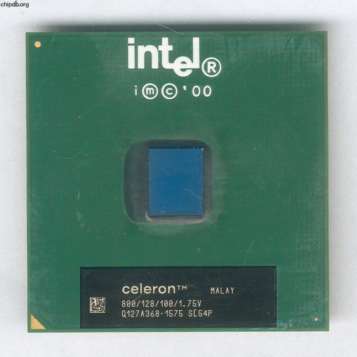 Intel Celeron 800/128/100/1.75V SL54P