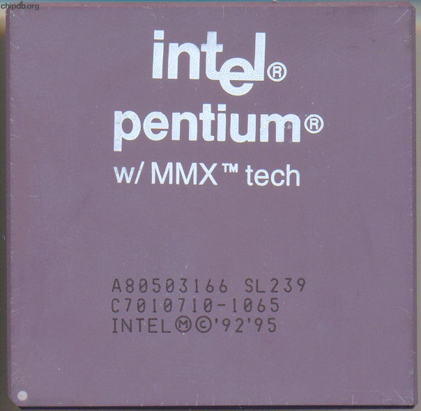 Intel Pentium A80503166 SL239
