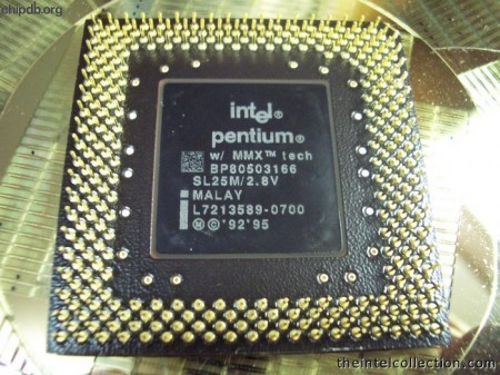Intel Pentium BP80503166 SL25M