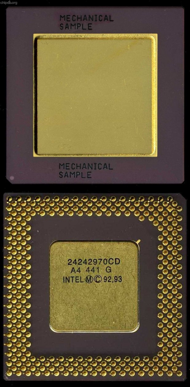 Intel Pentium gold top Mechanical Sample