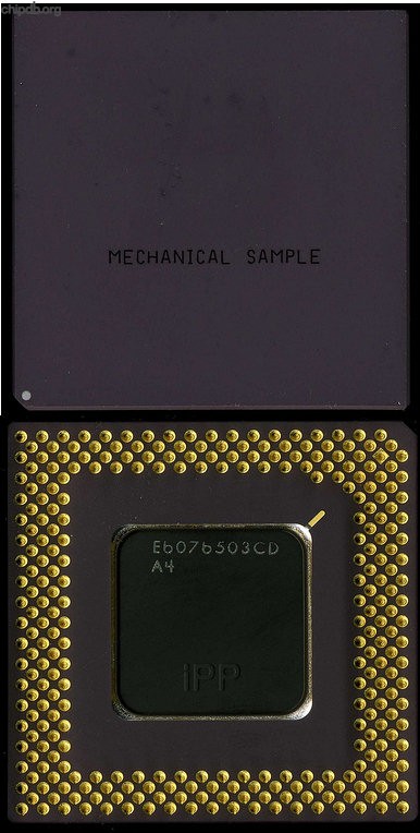 Intel Pentium mechanical sample iPP