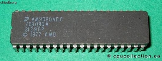 AMD AM9080ADC / C8080A