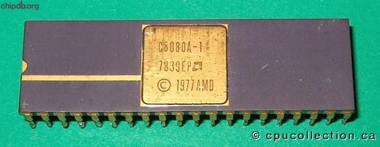 AMD C8080A-1