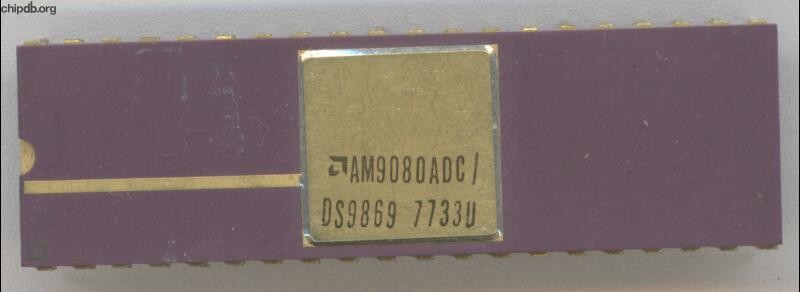 AMD AM9080ADC / DS9869 top gold