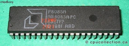 AMD P8085A AM8085APC