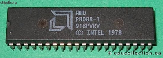 AMD P8088-1 bold logo
