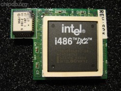 Intel SB80486DX2-50 SX825