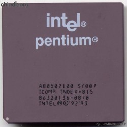 Intel Pentium A80502-100 SY007
