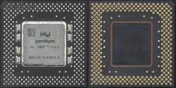 Intel Pentium PPGA MECH SAMPLE