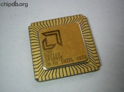 AMD R80186 big logo 2