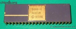 AMD C8080A-1