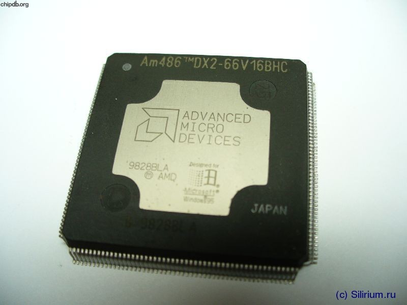 AMD Am486DX2-66V16BHC