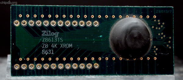 Z8613TS