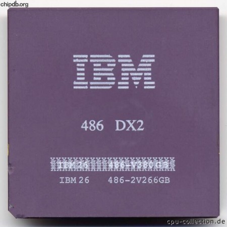 IBM 486DX2-2V266GB remarked