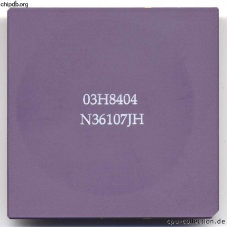 IBM 486 25/50 MHz 03H8404