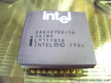 Intel A80387DX-16 SX104