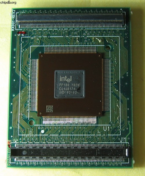 Intel Pentium TT80502-100 SY020 Diff. print