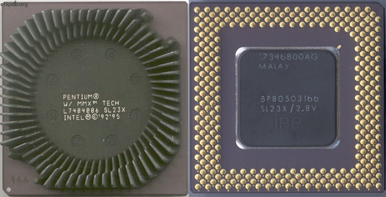 Intel Pentium BP80503166 SL23X