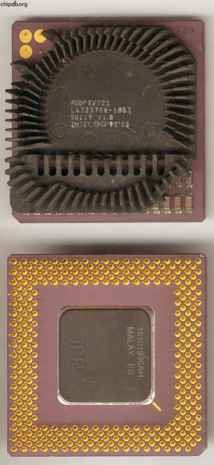 Intel Pentium Overdrive PODP3V125 SU119 V1.0