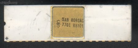 Siemens SAB8080AC White Gold