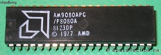 AMD Am9080APC / P8080A big logo