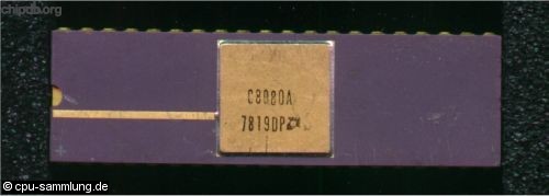 AMD C8080A