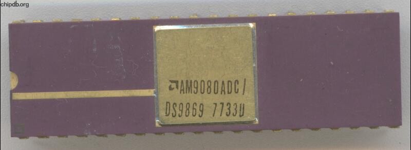 AMD AM9080ADC / DS9869 top gold