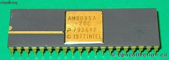 Amd AM8085A-2DC