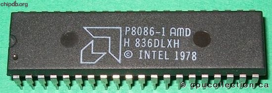 AMD P8086-1 AMD