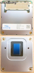 Intel Pentium II Mobile 366/256 SL36Z Intel Pentium II Mobile 366/256 SL36Z