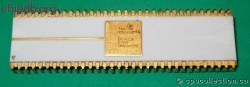 Texas Instruments TMS9900JDL-40 white