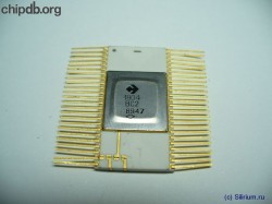1804VS2 (1804ВС2), AM2903 Clone