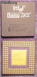 Intel A80486DX2-66 SX953 FAKE