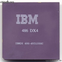IBM 486DX4-4V3100GC