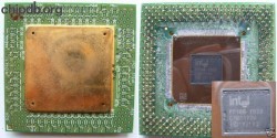 Intel Pentium TT80502-100 SY020 PPGA