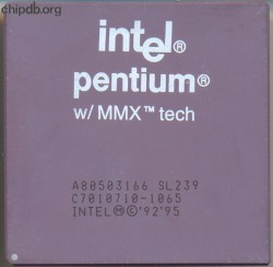 Intel Pentium A80503166 SL239