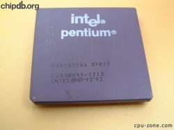Intel Pentium A80502166 SY017
