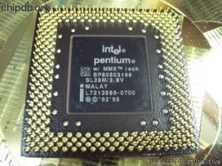 Intel Pentium BP80503166 SL25M