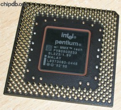 Intel Pentium FV80503233 SL2Z3