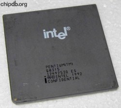 Intel Pentium (TM) Q0315