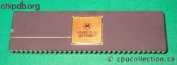 Motorola MC68010L10 two rows