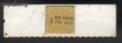 Siemens SAB8080AC White Gold Siemens SAB8080AC White Gold