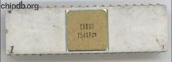 AMD C8080