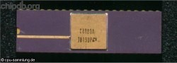 AMD C8080A