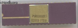 AMD AM9080ADC / DS9869 top gold